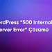 WordPress "500 Internal Server Error" Çözümü