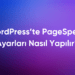 WordPress'te PageSpeed Ayarları Nasıl Yapılır?