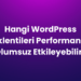 Hangi WordPress Eklentileri Performansı Olumsuz Etkileyebilir?