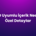 SEO Uyumlu İçerik Nedir? Özel Detaylar