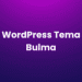 WordPress Tema Bulma