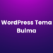 WordPress Tema Bulma