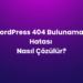 WordPress 404 Bulunamadı Hatası Nasıl Çözülür?