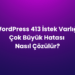 WordPress 413 İstek Varlığı Çok Büyük Hatası Nasıl Çözülür?