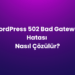 WordPress 502 Bad Gateway Hatası Nasıl Çözülür?