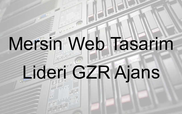 Mersin Web Tasarım Lideri GZR Ajans