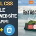 Web Sitesi Yapma Adımları